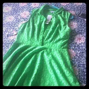 Apple Green lace short sleeve dress